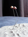 evaporating water will shift the balance